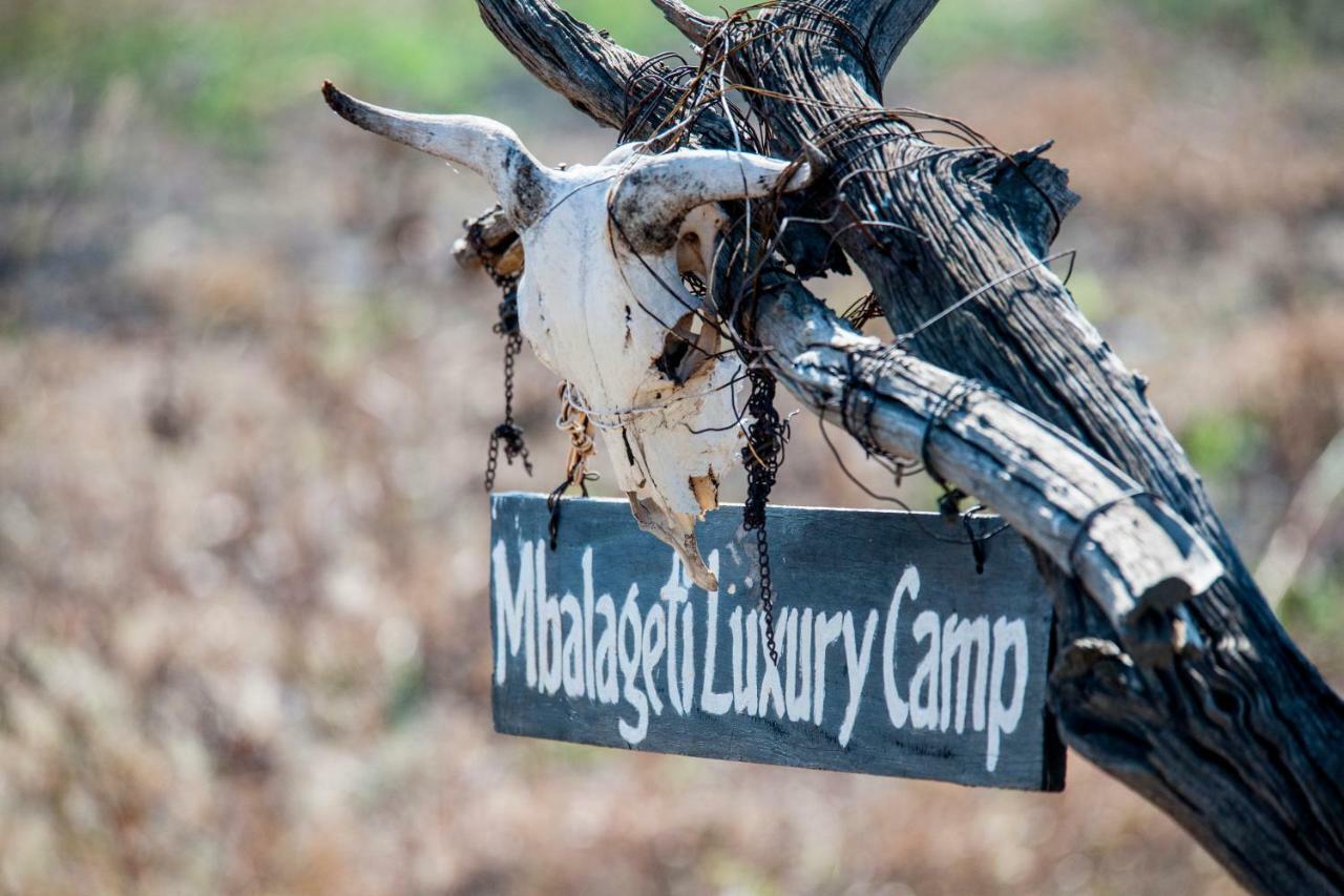 Mbalageti Serengeti-Savanne Exterior foto